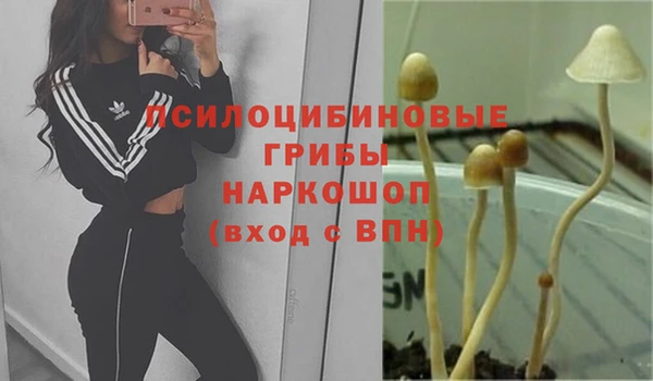 СК Беломорск