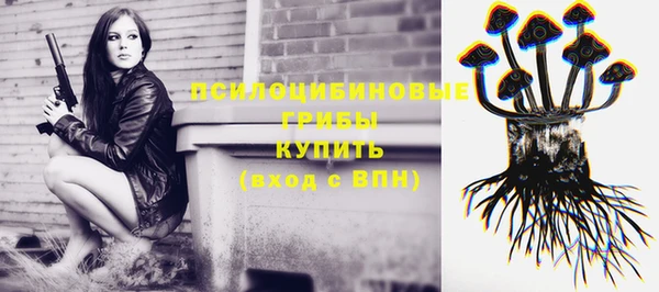 каннабис Белокуриха